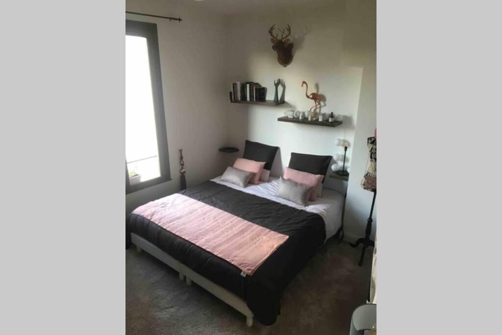 Le XV Appartement Nancy Buitenkant foto